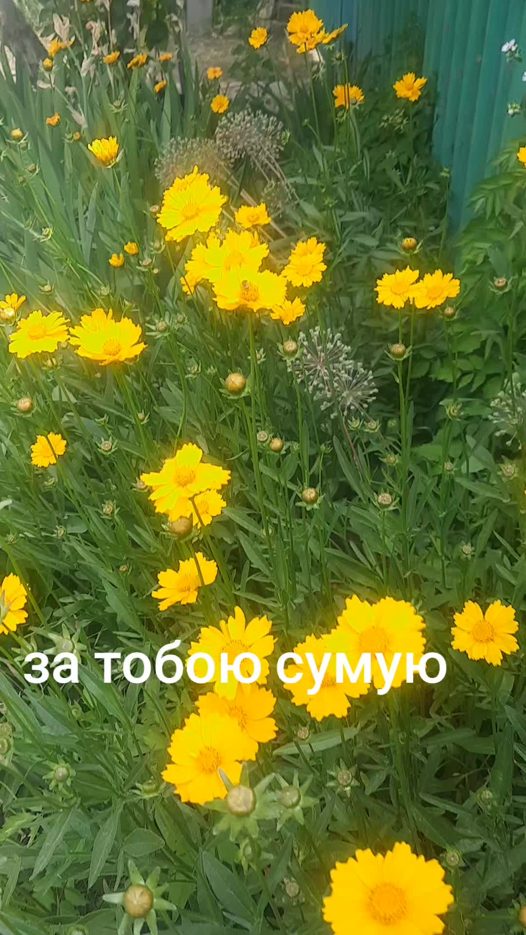 @Божена