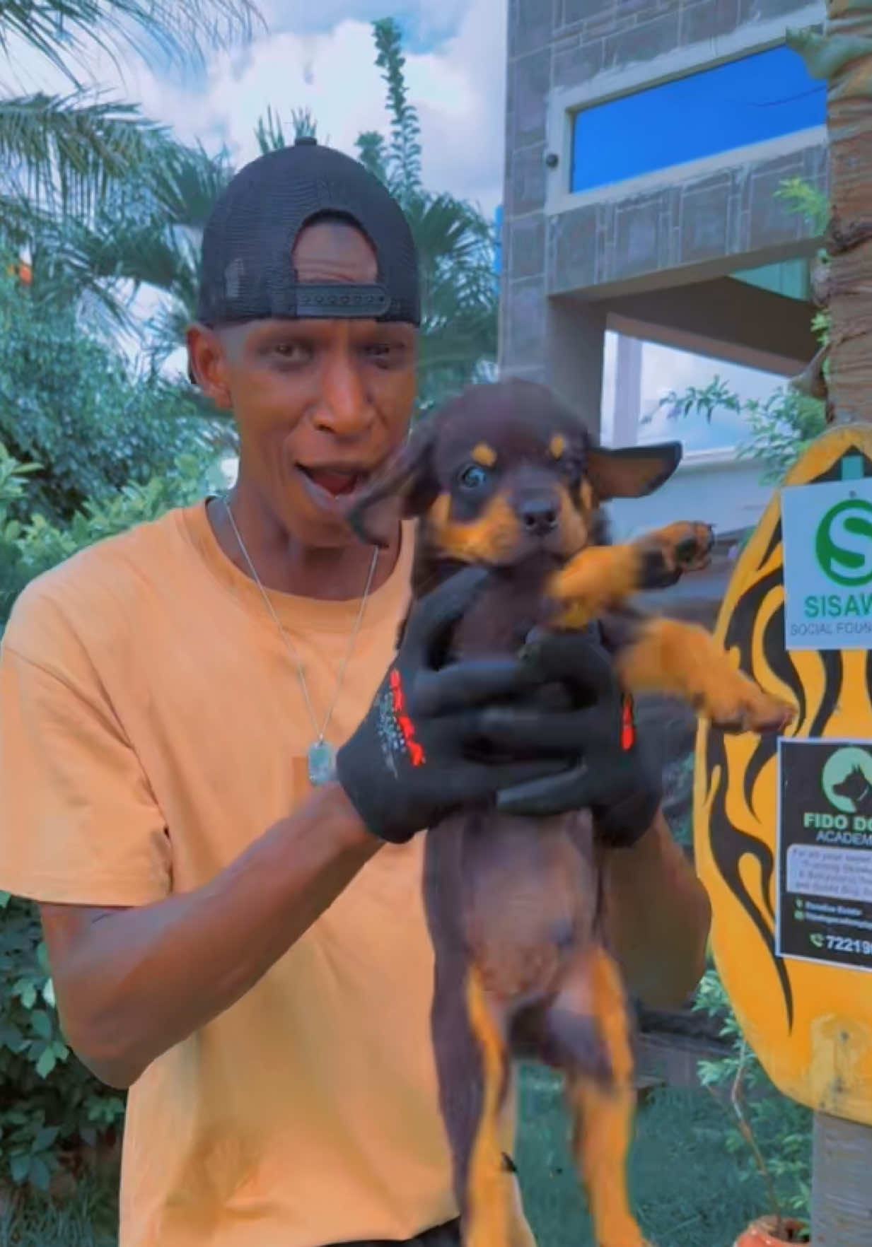 @Dog Master