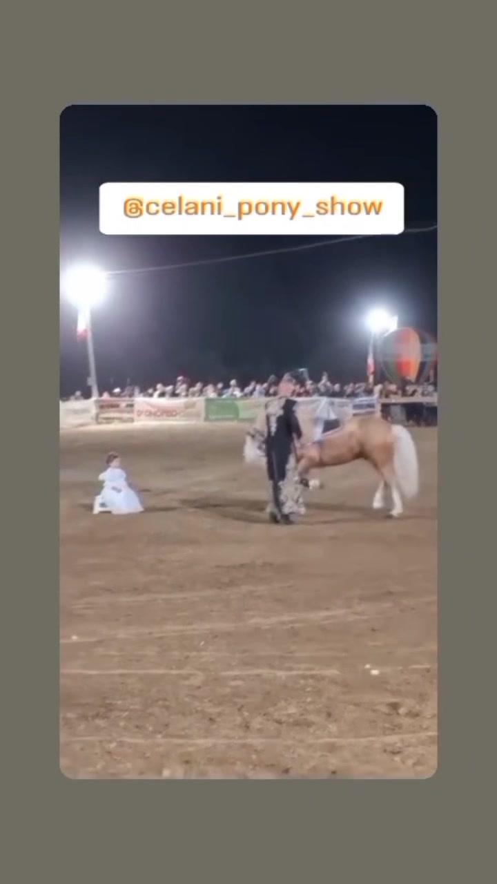 @pony show 🇮🇹🥇