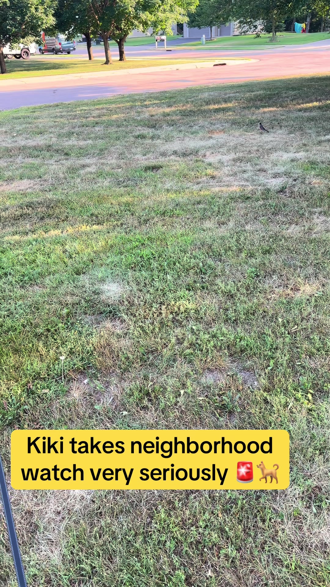 @Kiki.GSD