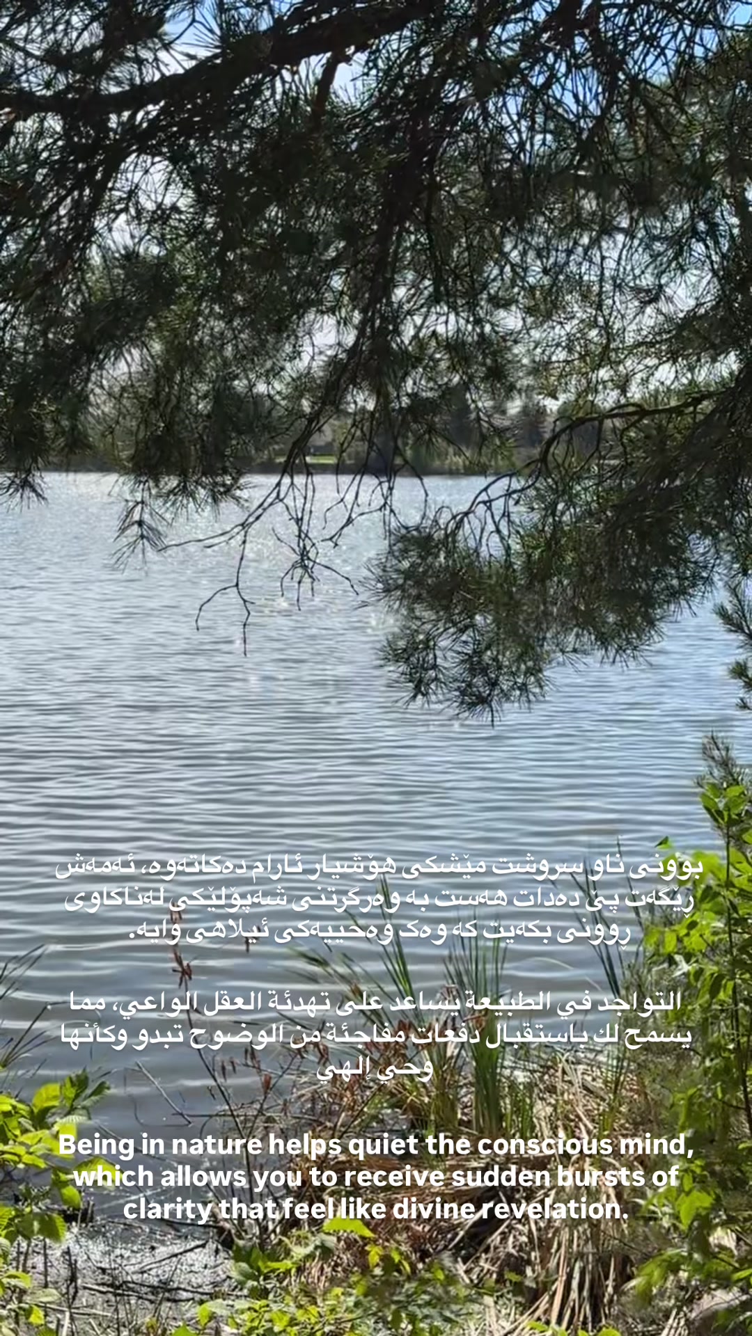 @Faiza 🦋1111