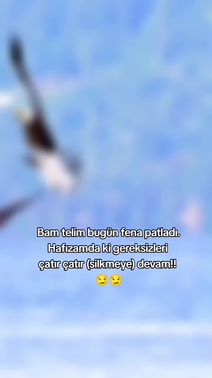 @🦂🦂AKREP 🦂🦂