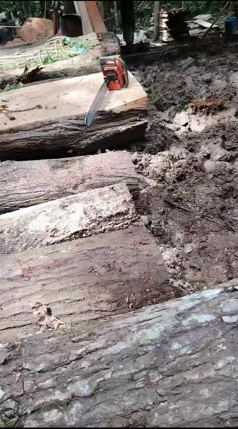 @alialvarado739