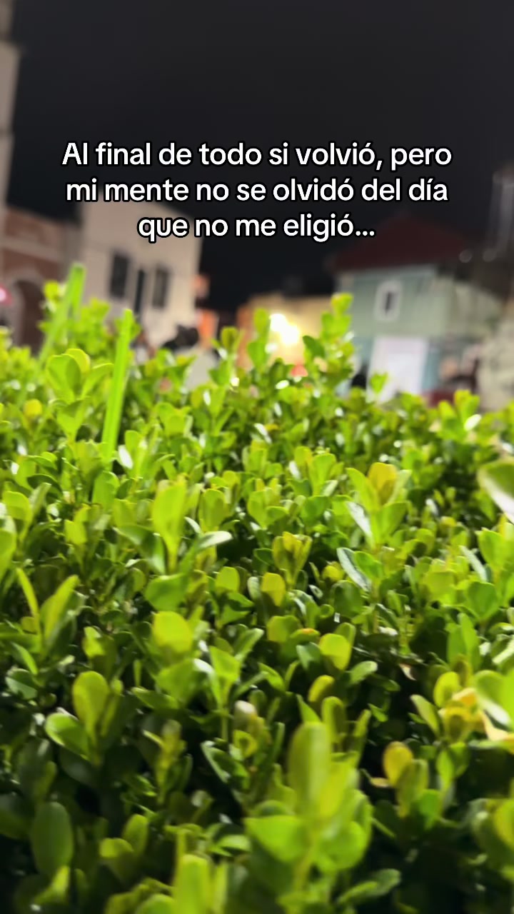 @Noemi Hernandez