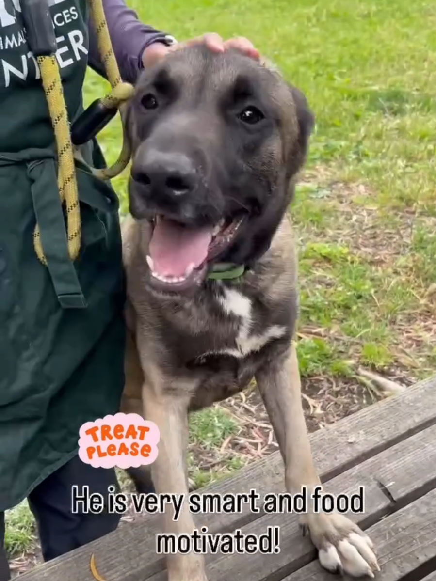 @Oakland Animal Services