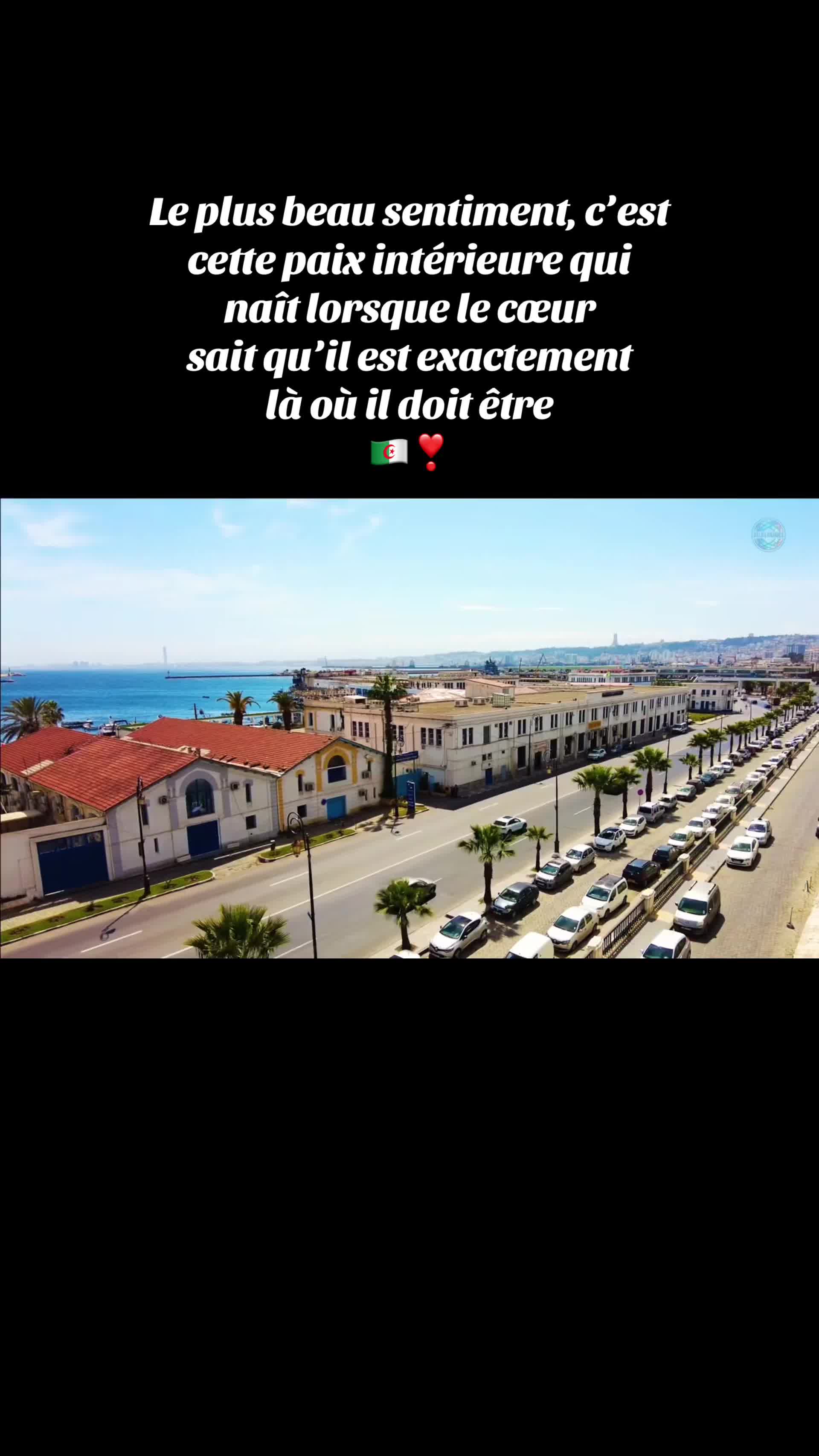 @Algéroise16