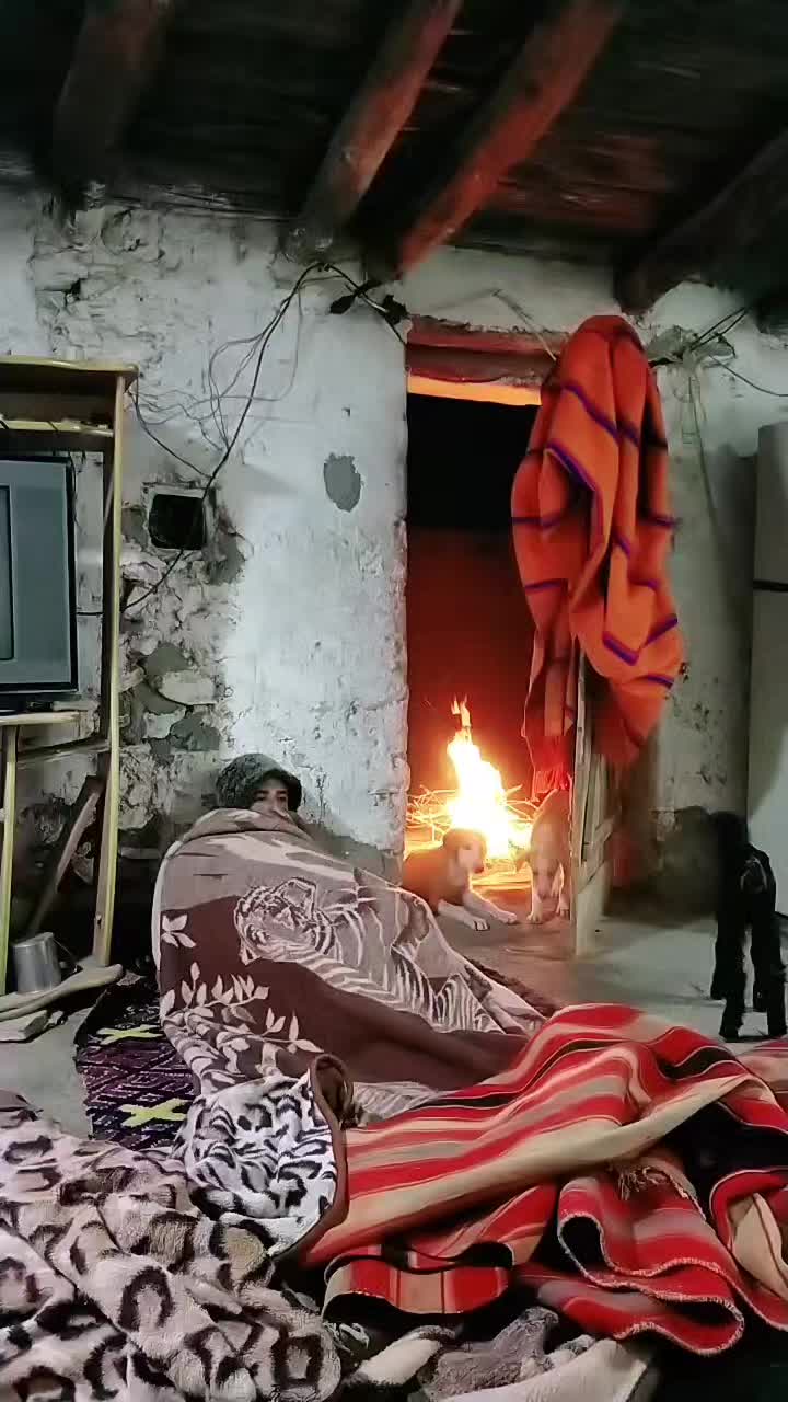 @ايوب جونيمار