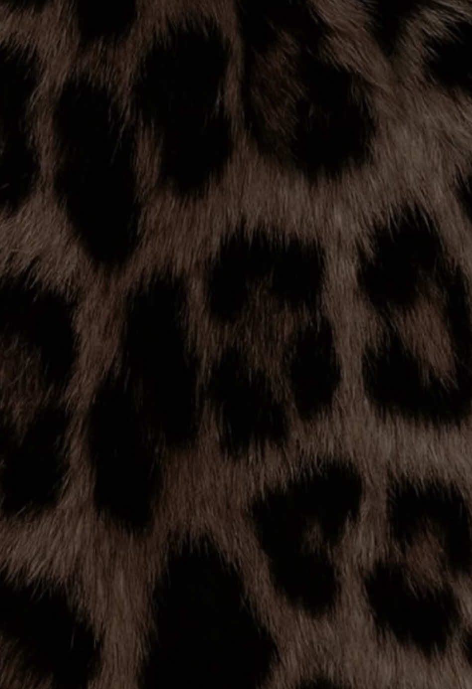 @𝓖𝓢