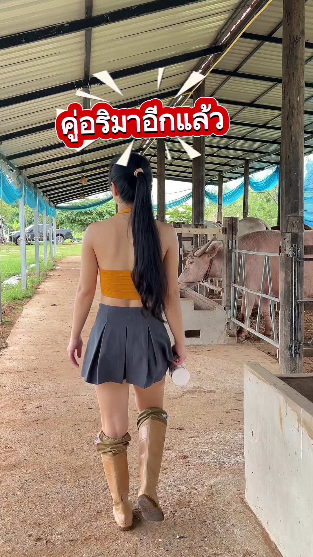 @AA Aranya Farm