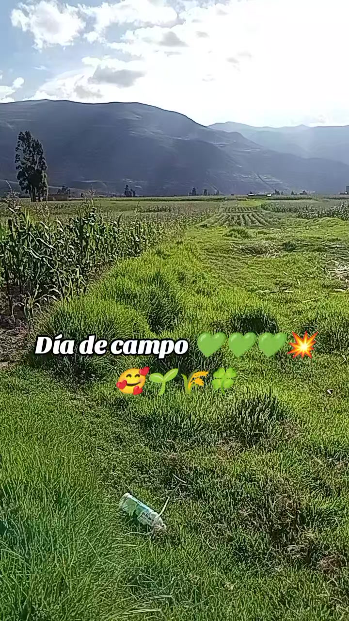 @jhoelgarciatello
