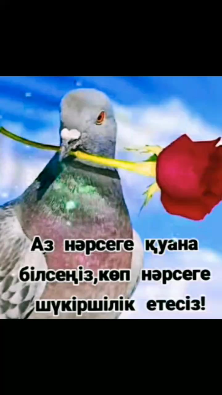 @Тойгул