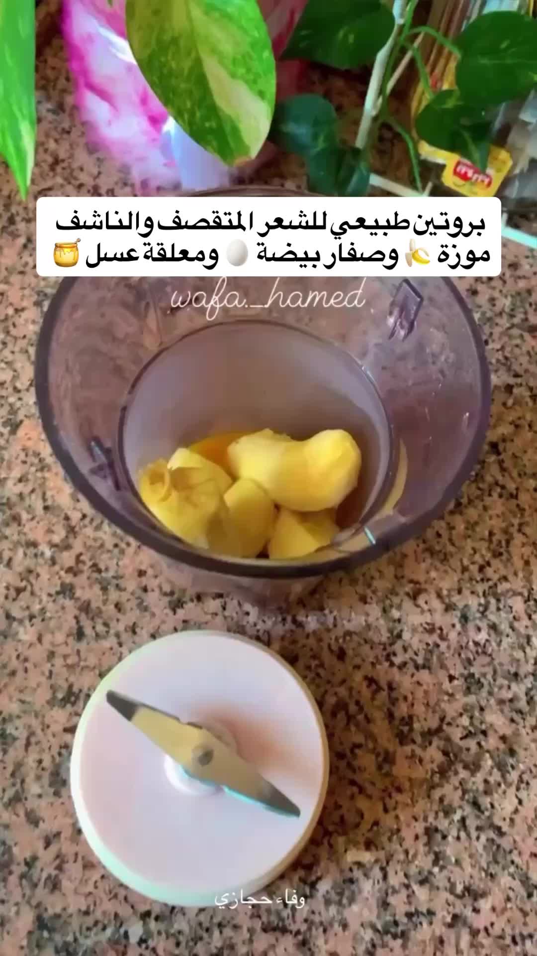 @Wafa Hamed 🍉