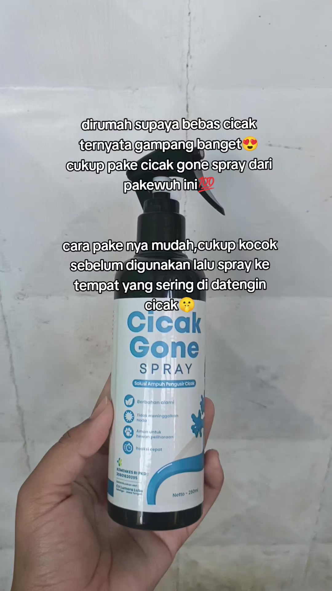 @M hafidz Alfatih✨