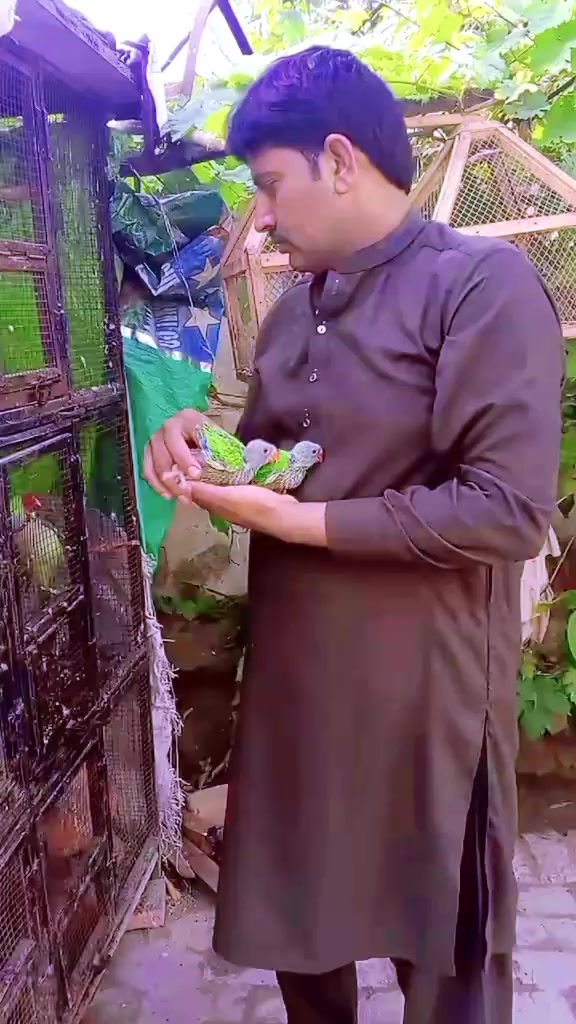 @AD shujrah 💕