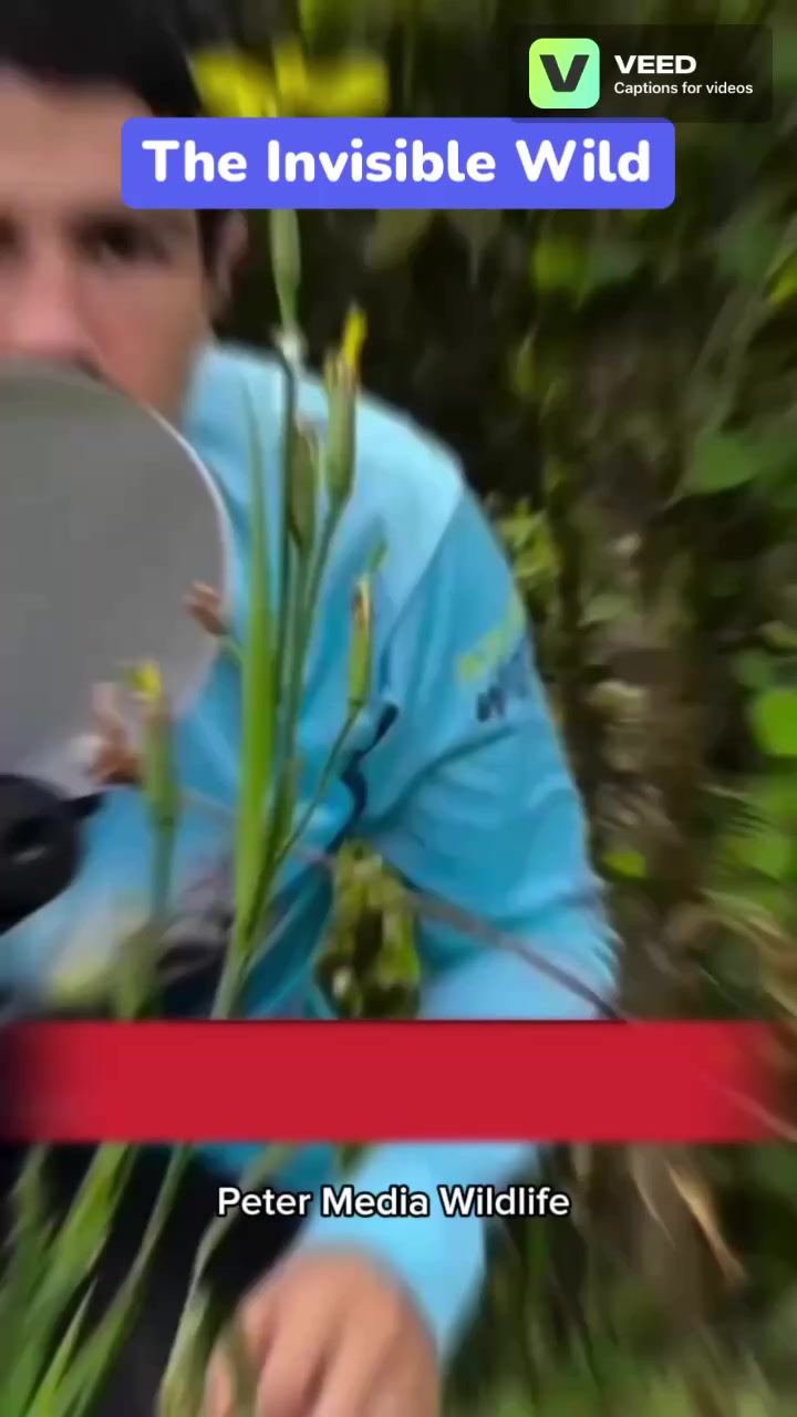@sunkhoeltz