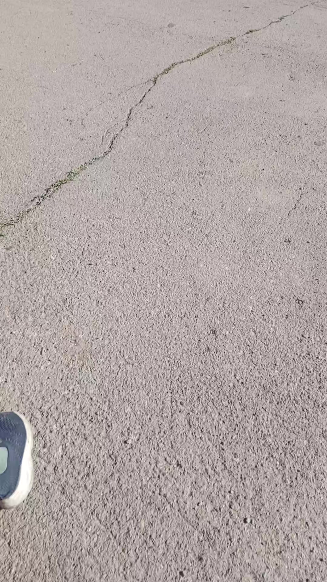 @метро спарта