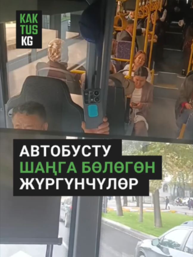 @Kaktus KG