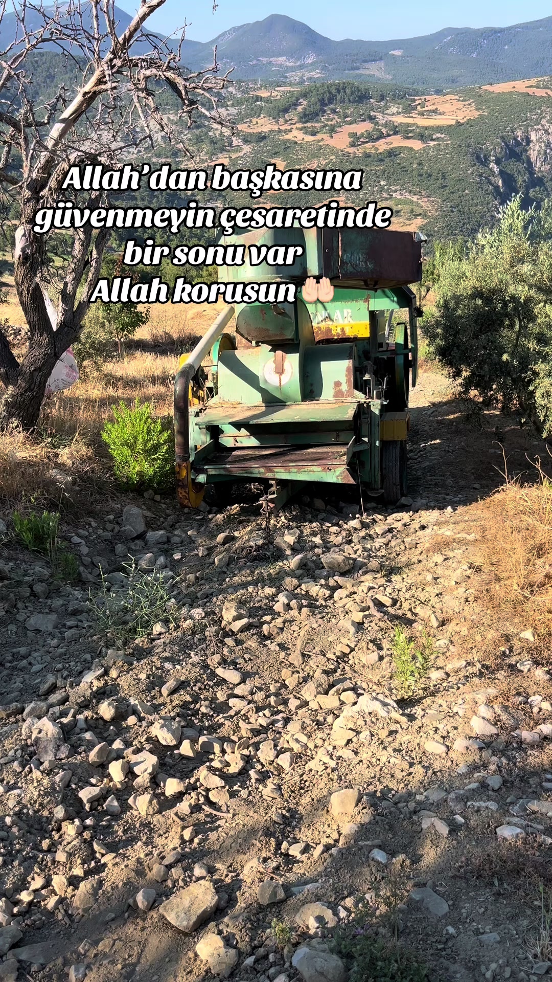 @Cemil