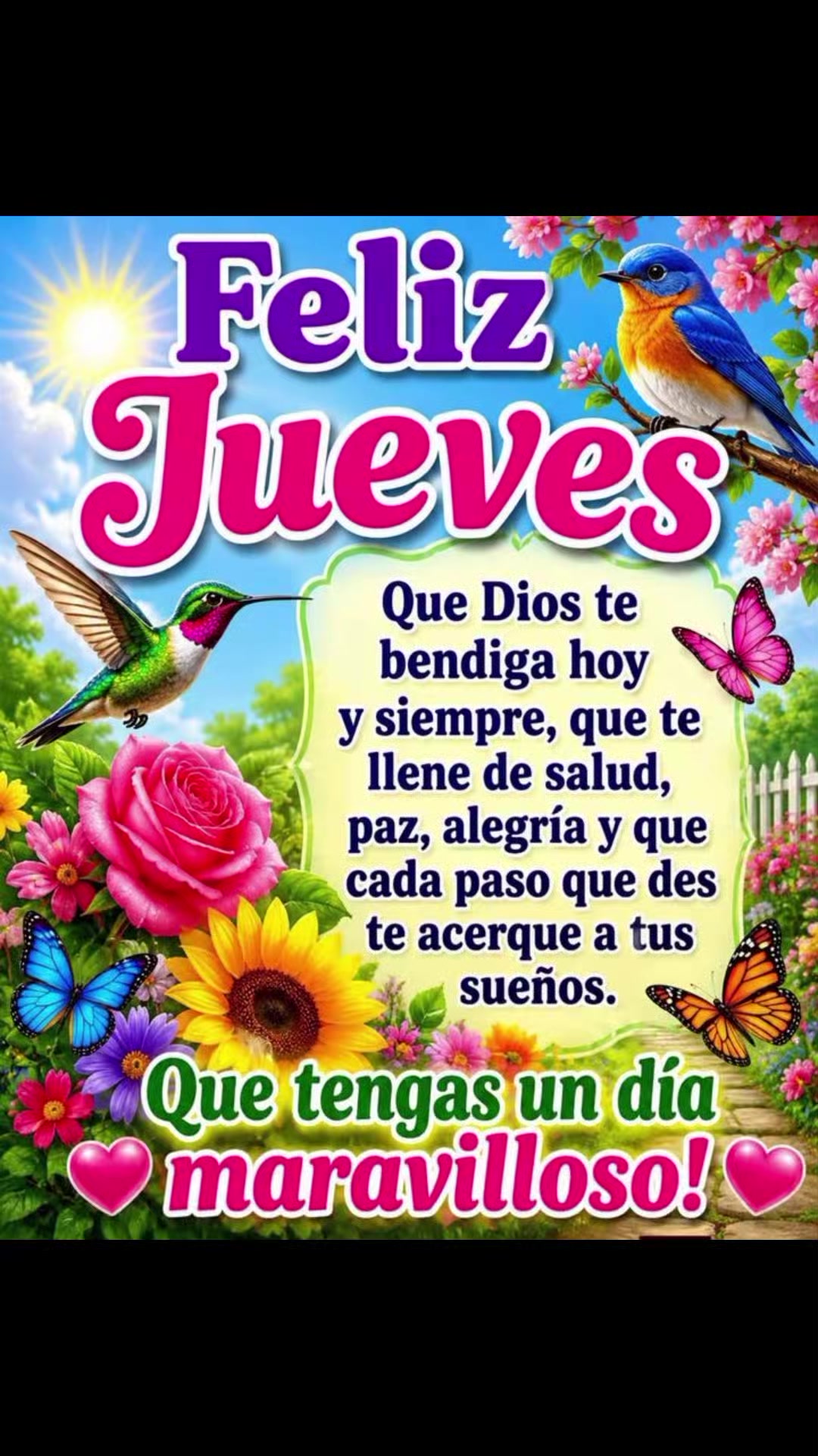 @Hernan montoya