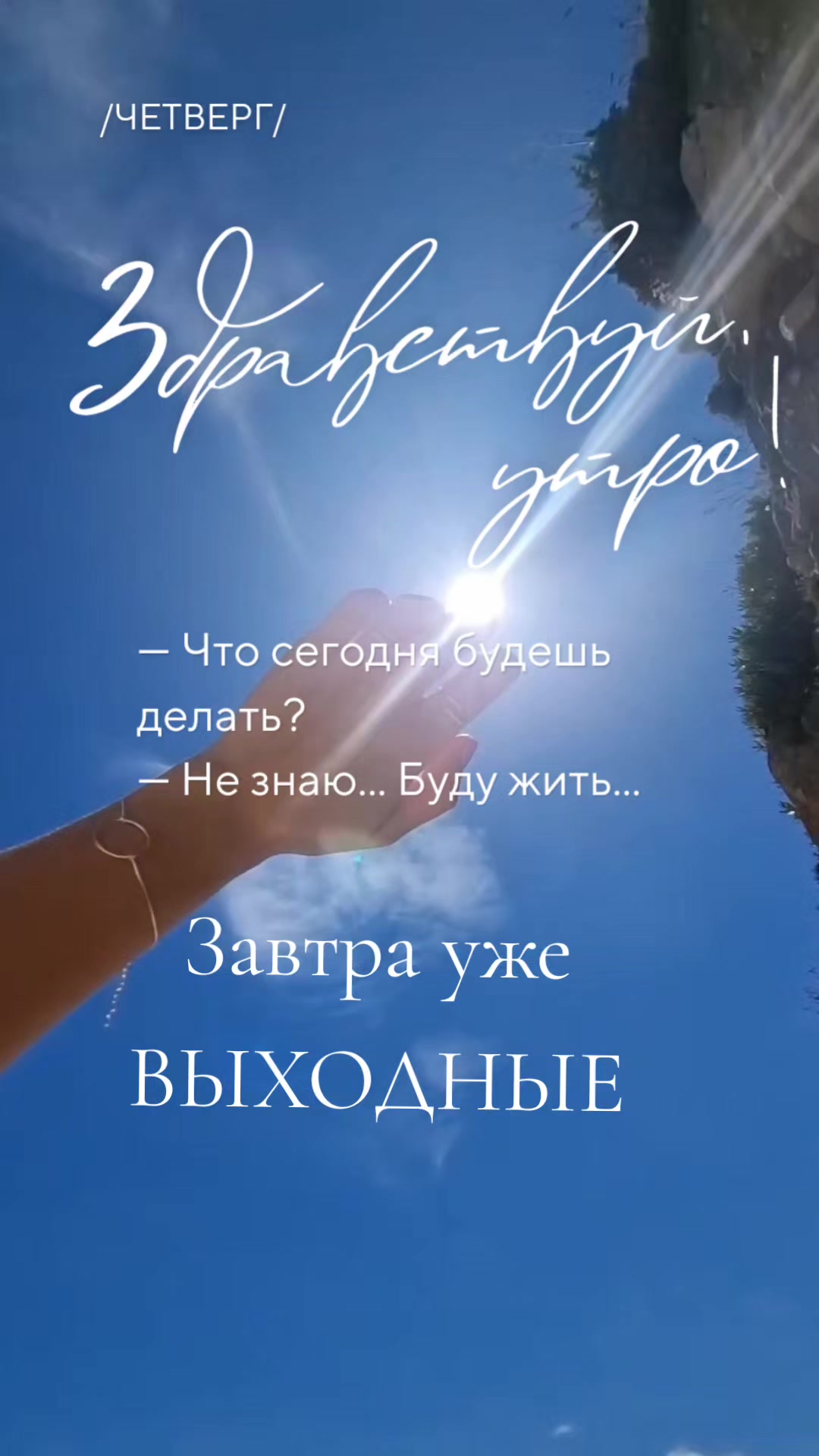 @☆꧁✬◦.𝒱.𝒮𝒽 .✬꧂☆