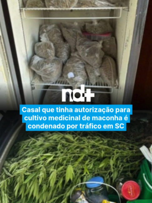 @portalndmais