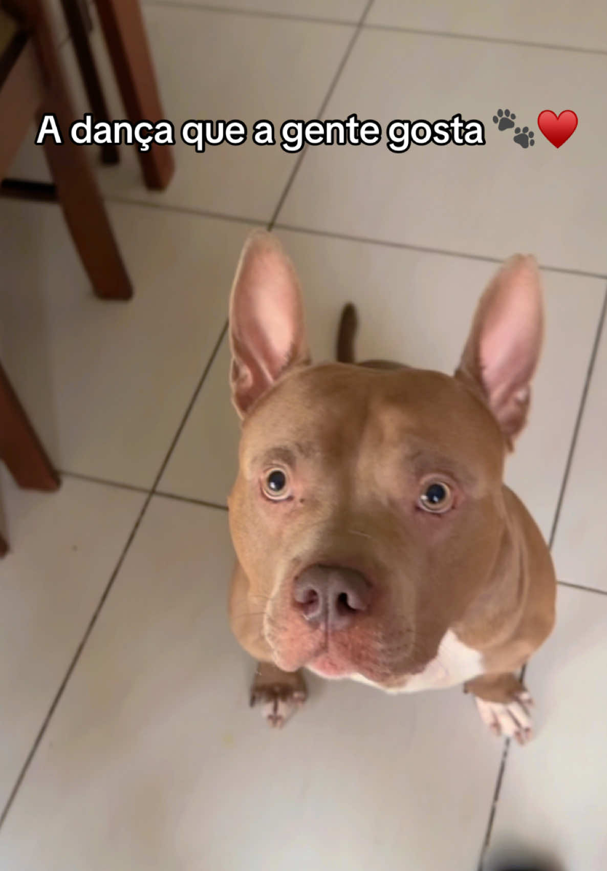 @tutoradobuda