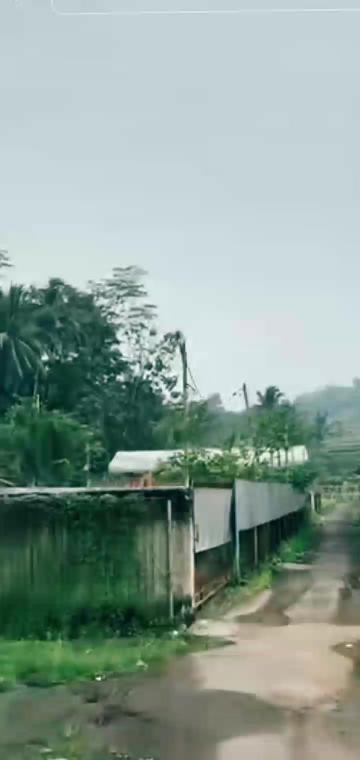 @🇲🇨* FIRMAN *BOGOR* 81