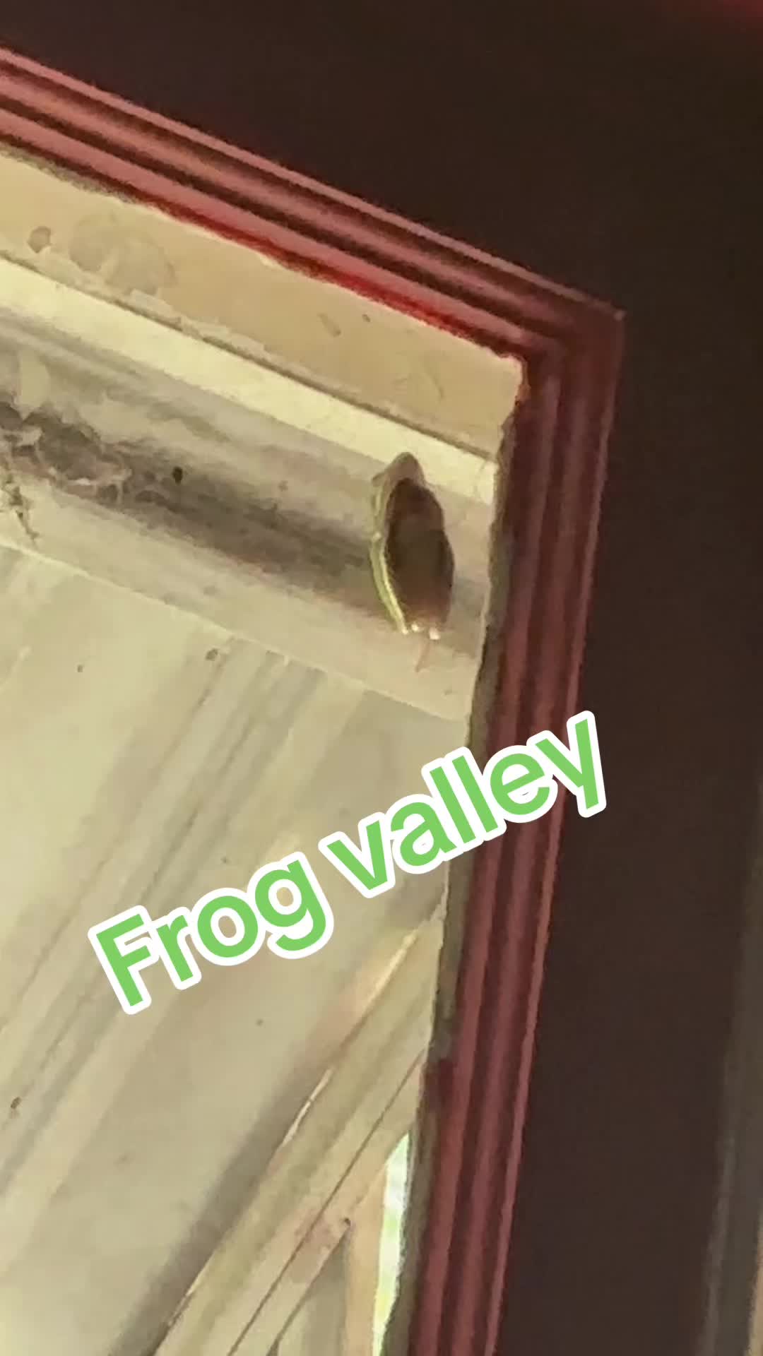 @KingDu616