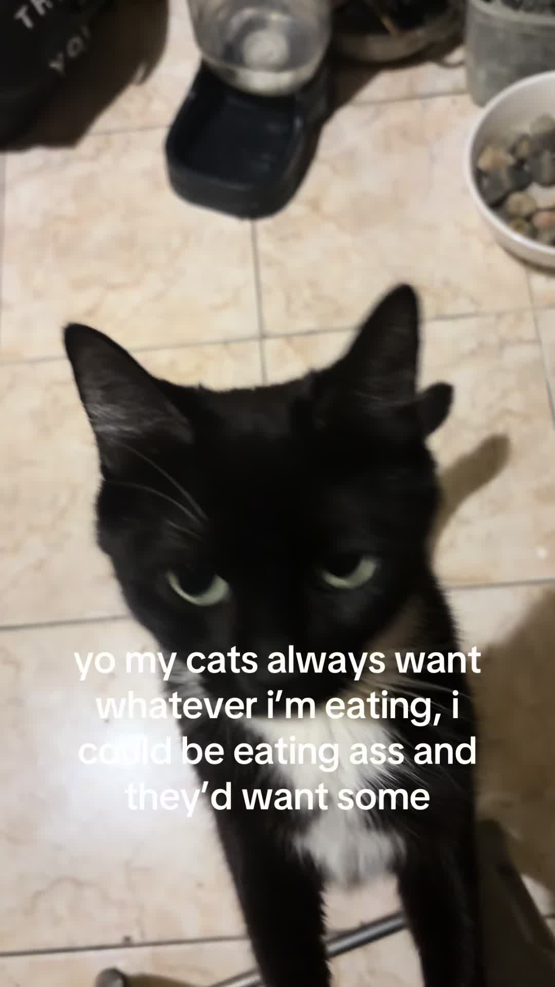 @wheresdayanna