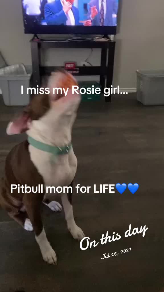 @jusTash