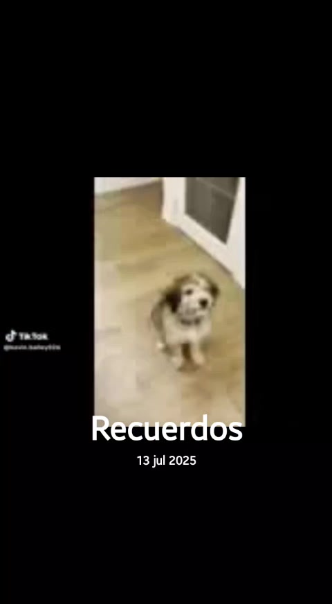 @Cookiechips2 karpÿx karpÿx