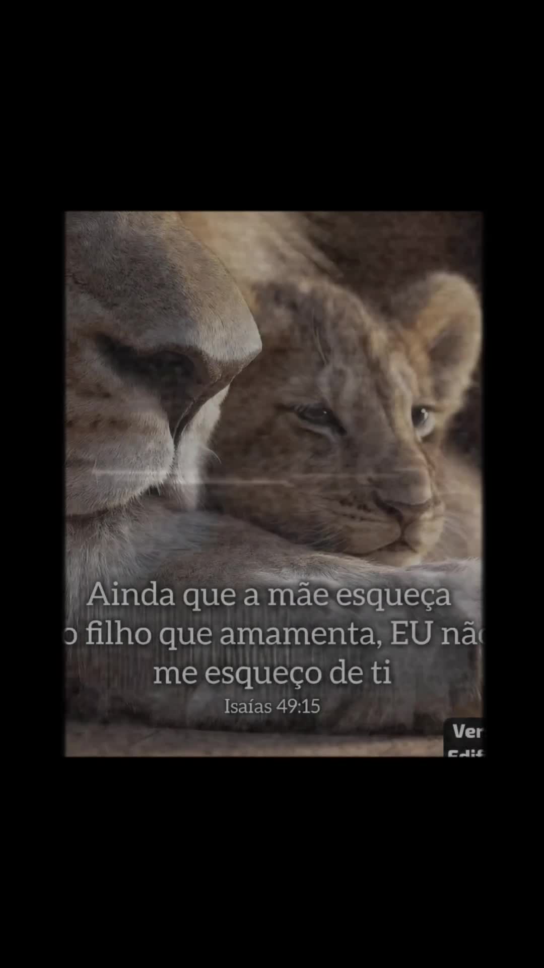 @Leozanza ❤️💜