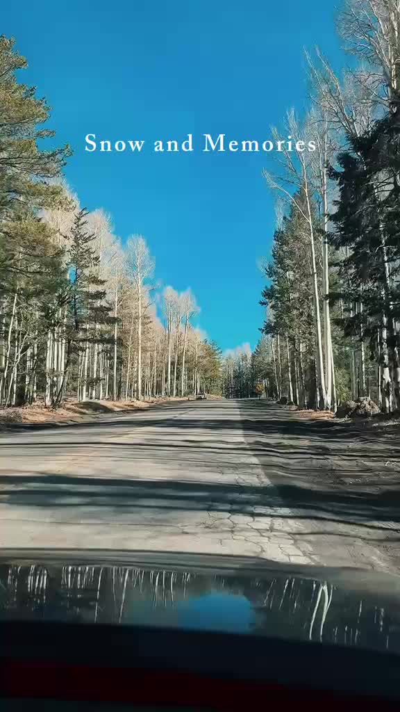 @diolitaminivlog