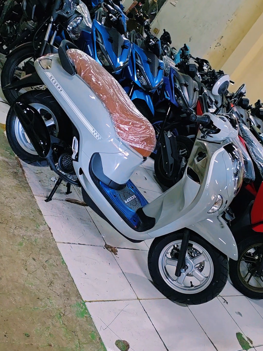 @masmi.cendana.motor