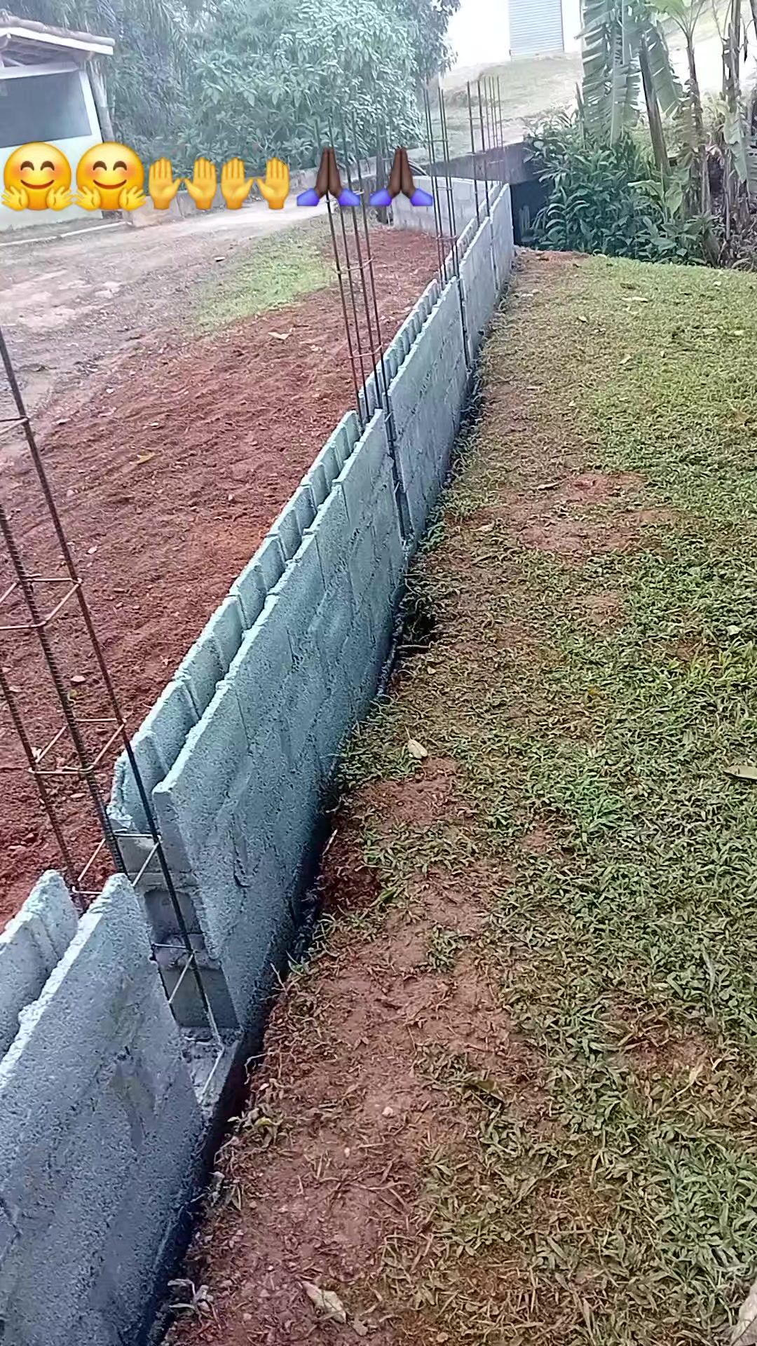 @Jos&eacute; Carlos