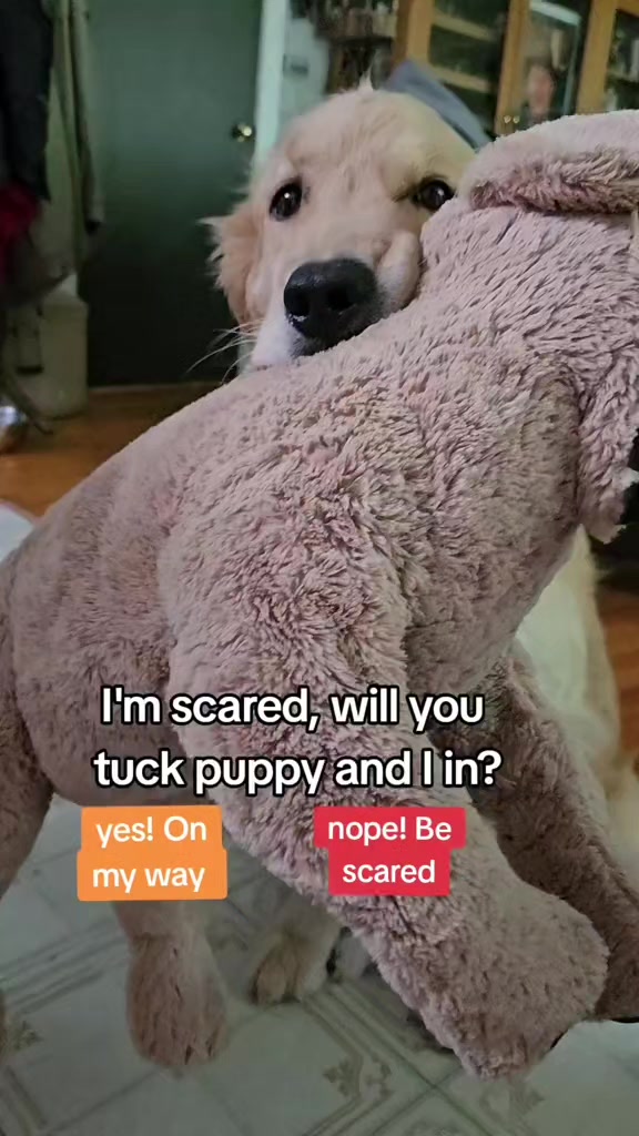 @🐶Griffin
