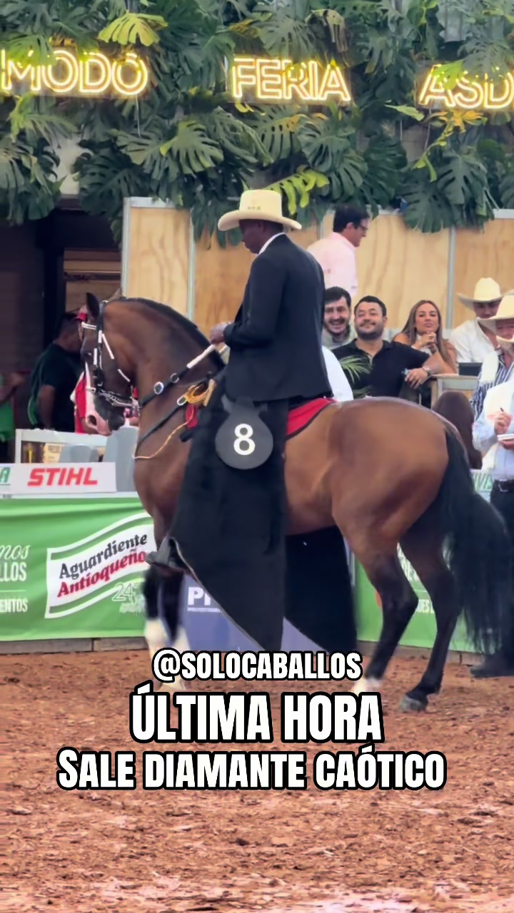 @Solo Caballos