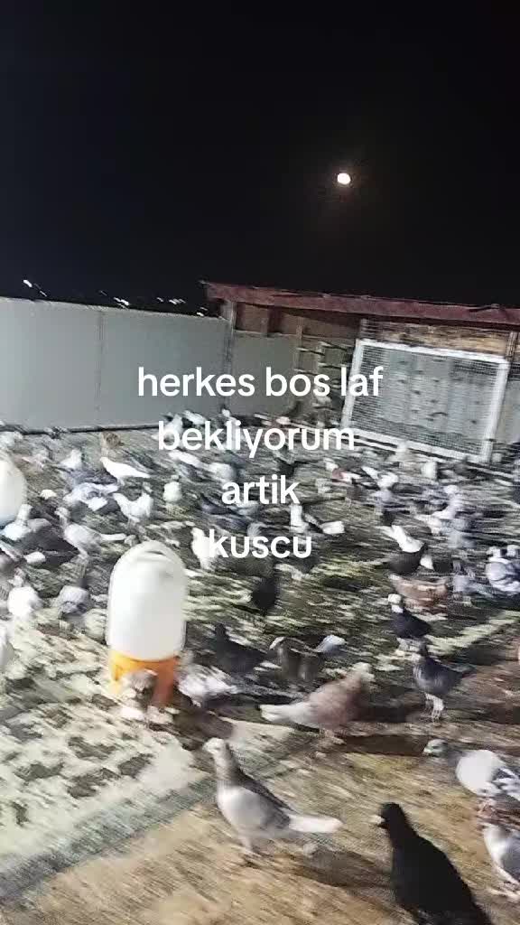 @Ahmet Akcakaya