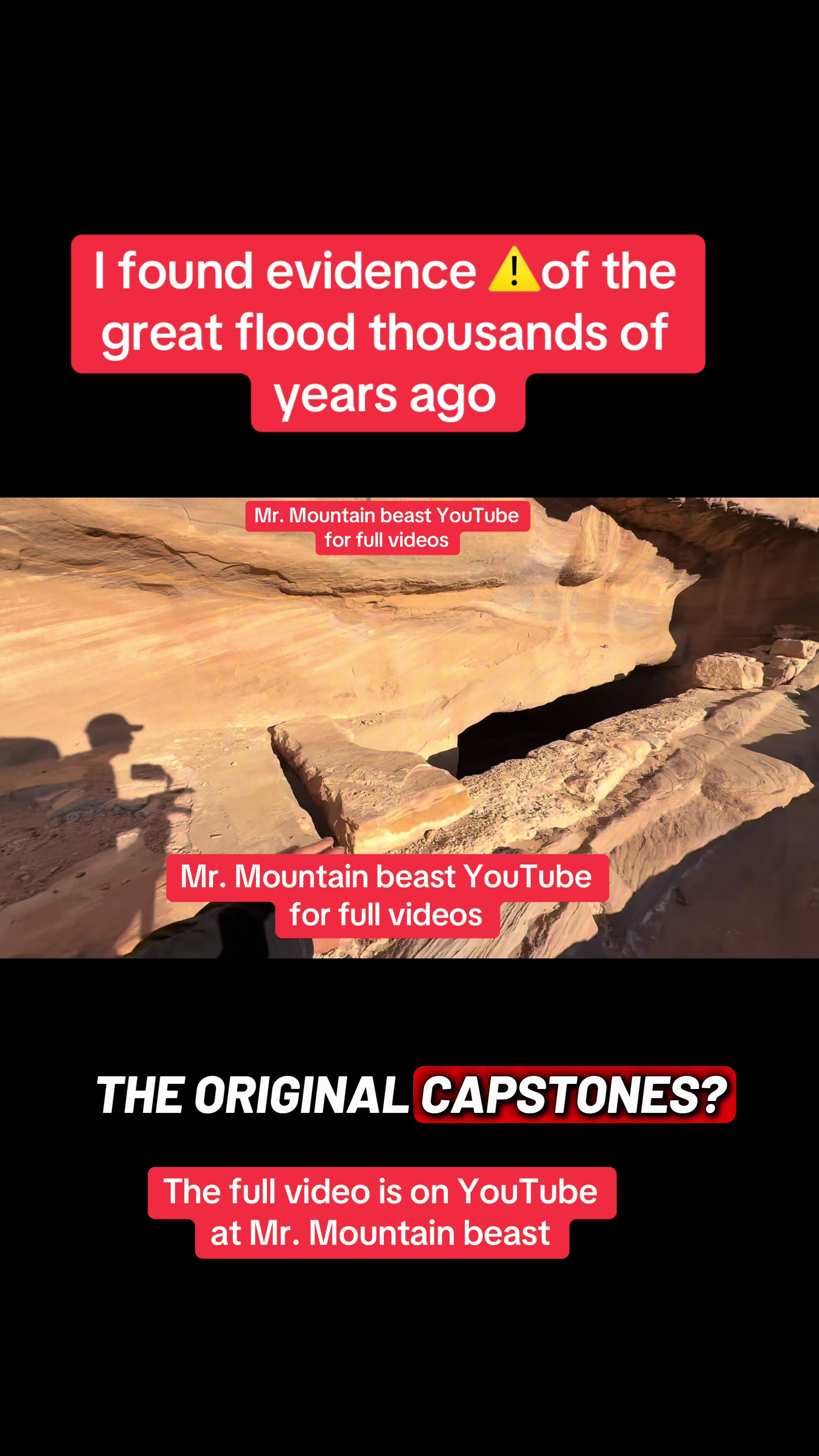 @Mr.mountainbeast