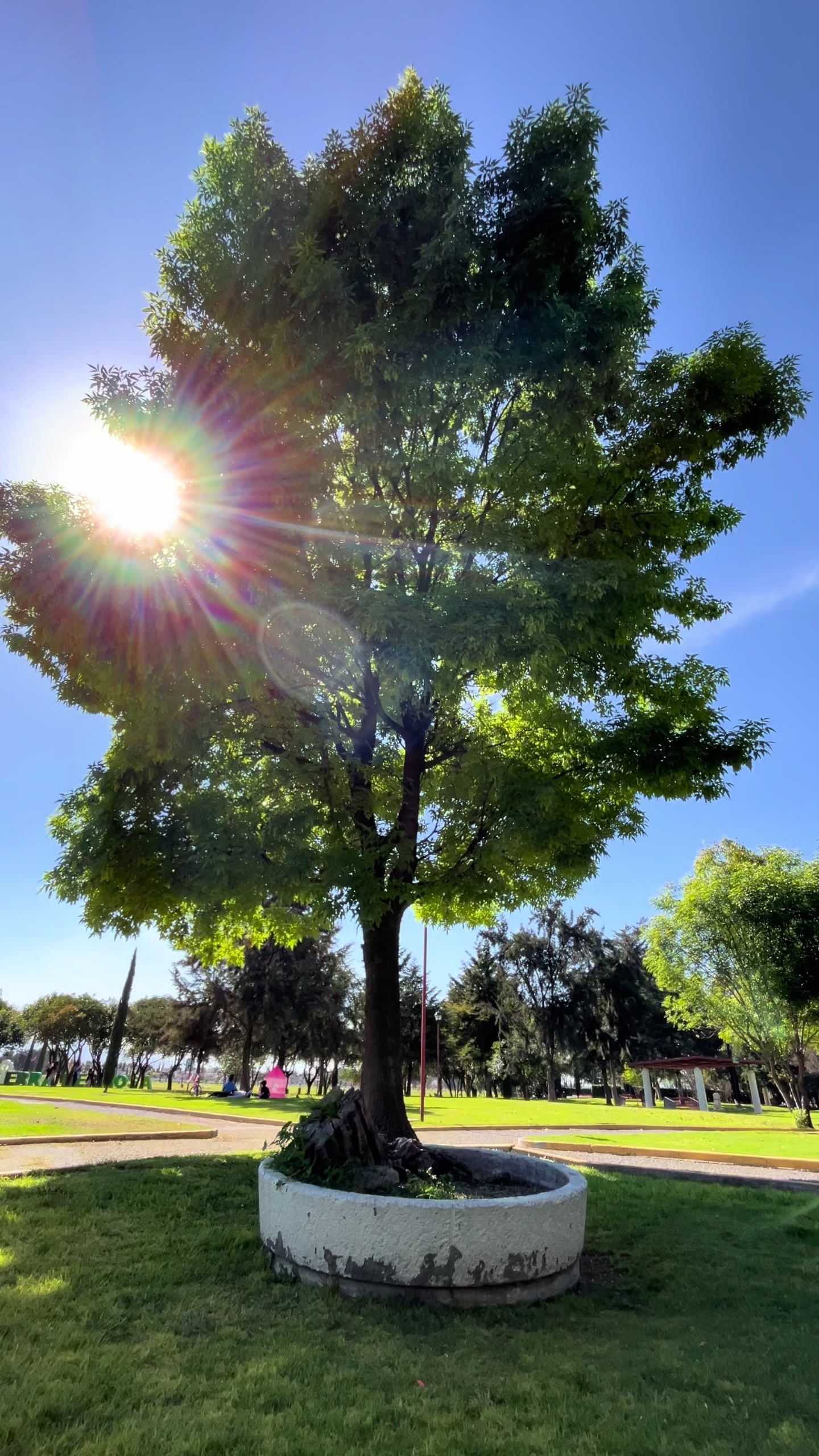 @Alma Gonz&aacute;lez