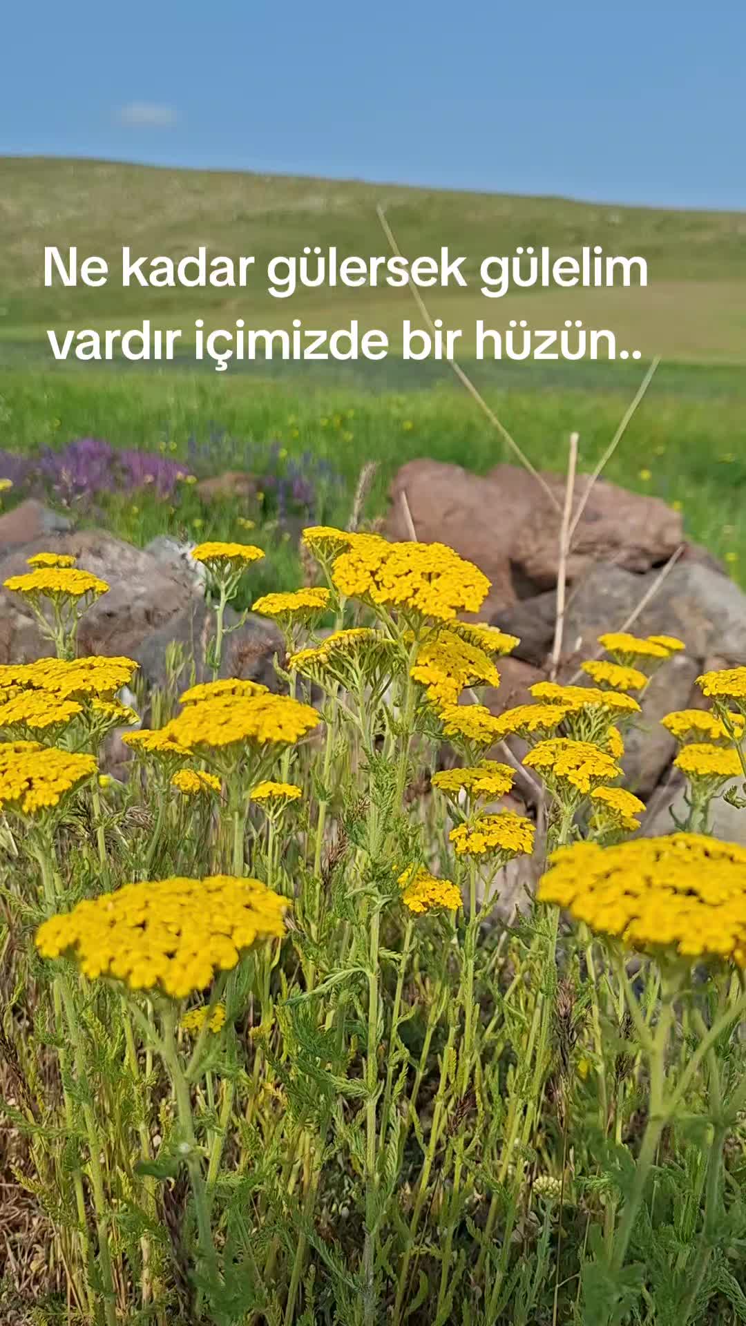 @🔵꧁⁷⁶O.bİr ığdirli⁷⁶꧂🔵