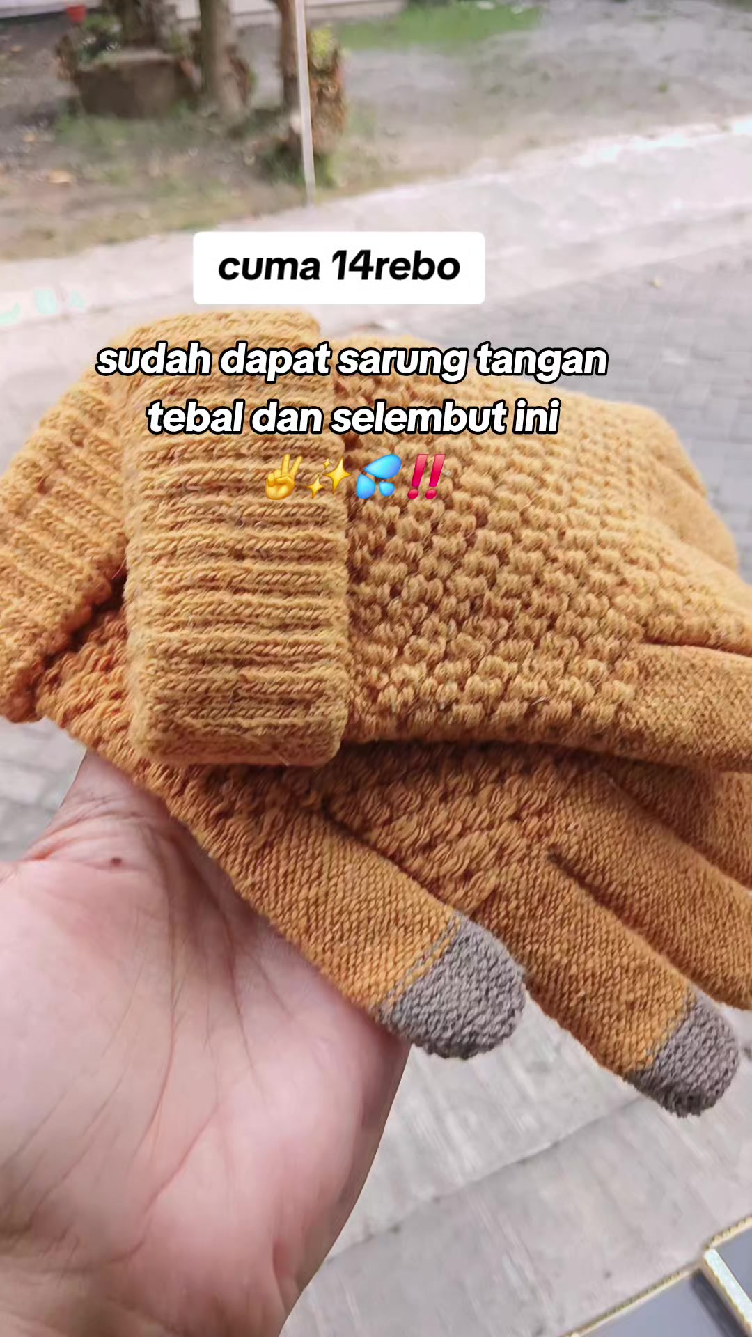@Ceria_a