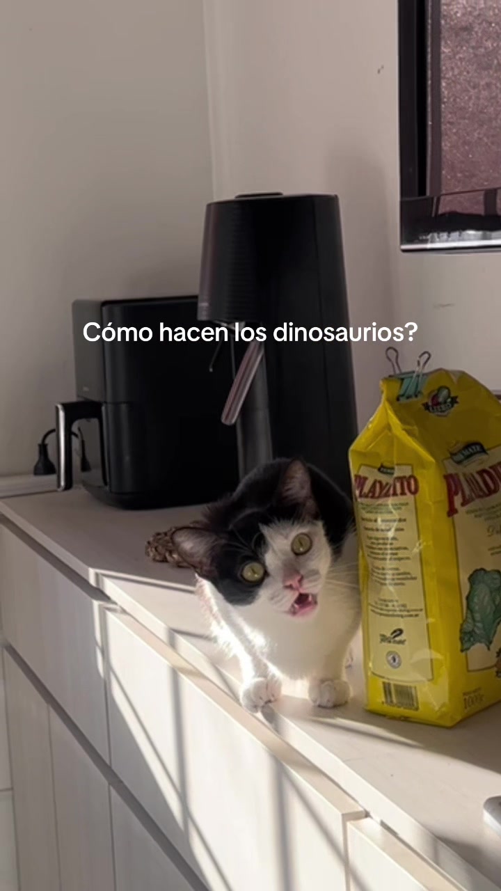 @LUNA