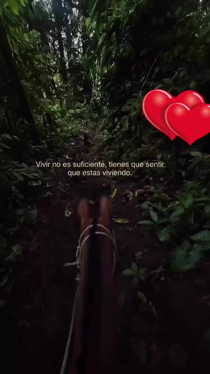 @Yuleiidy🇬🇹