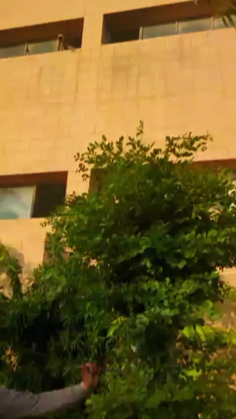 @Usman Atal101