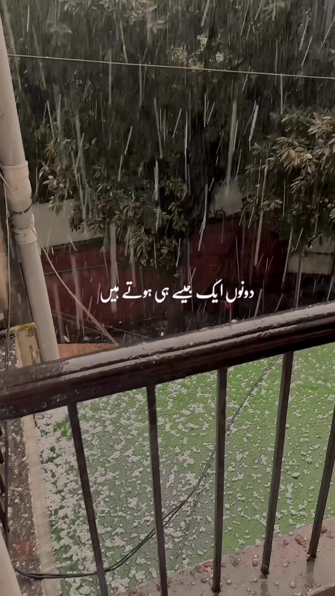 @Rafaqat Gill