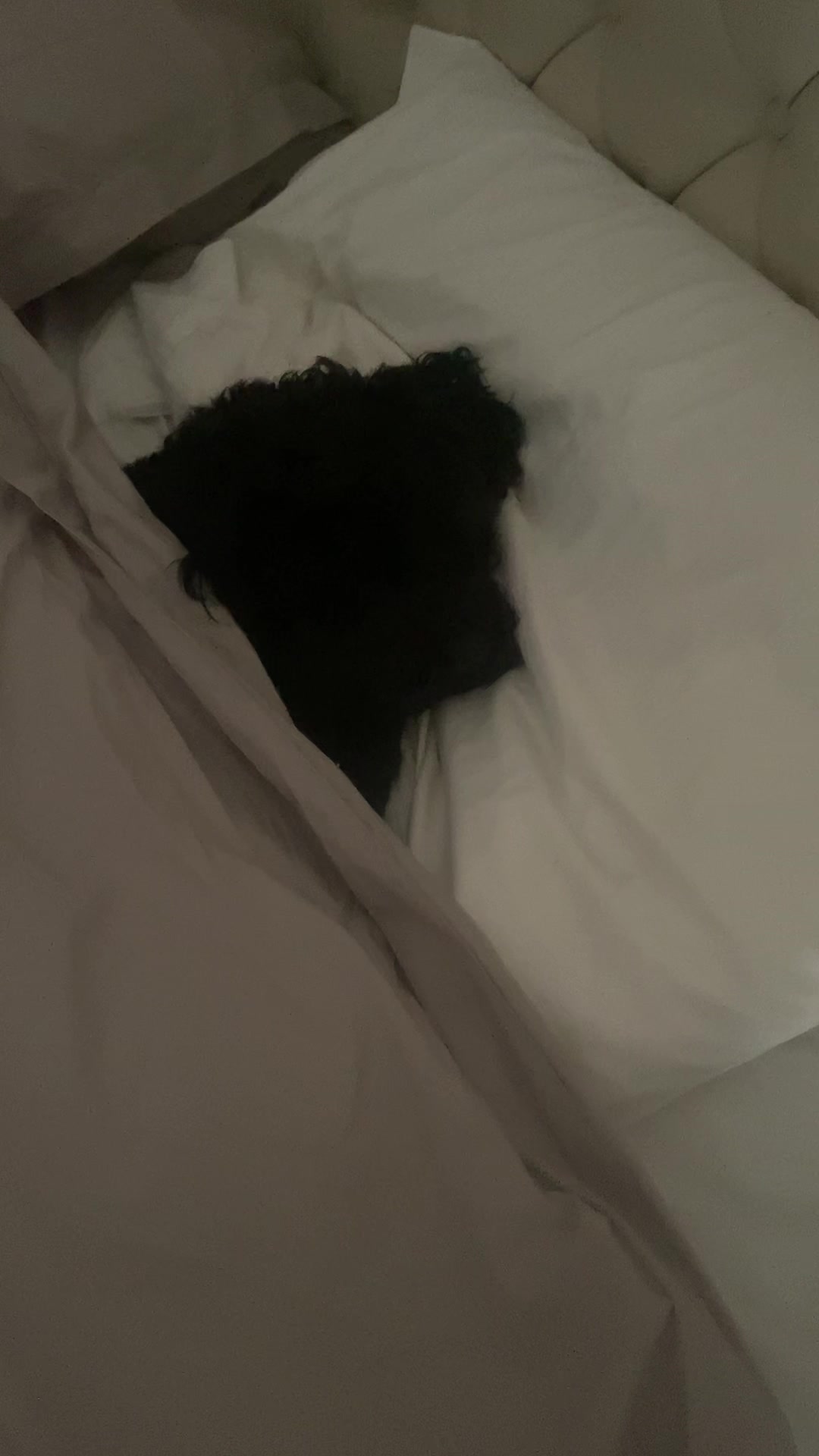 @Dee&ensp;the&ensp;garden&ensp;fairy