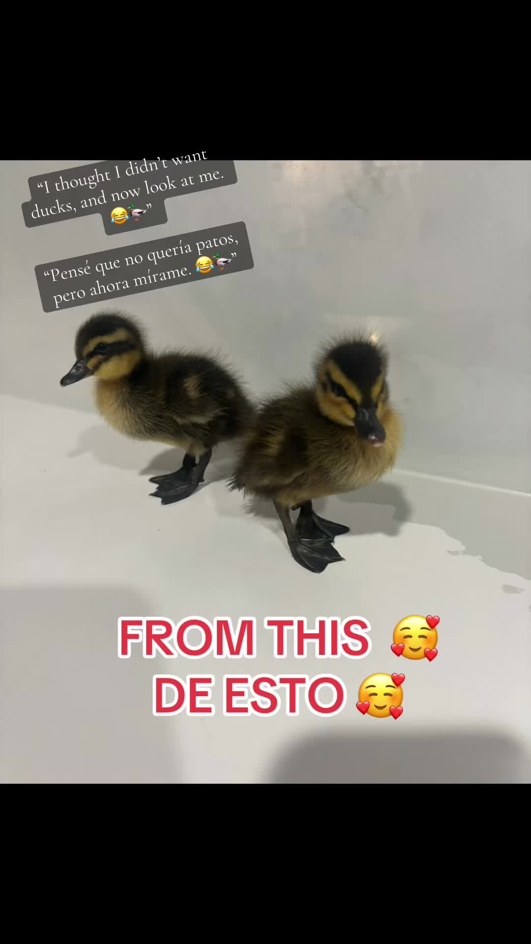 @Adriana