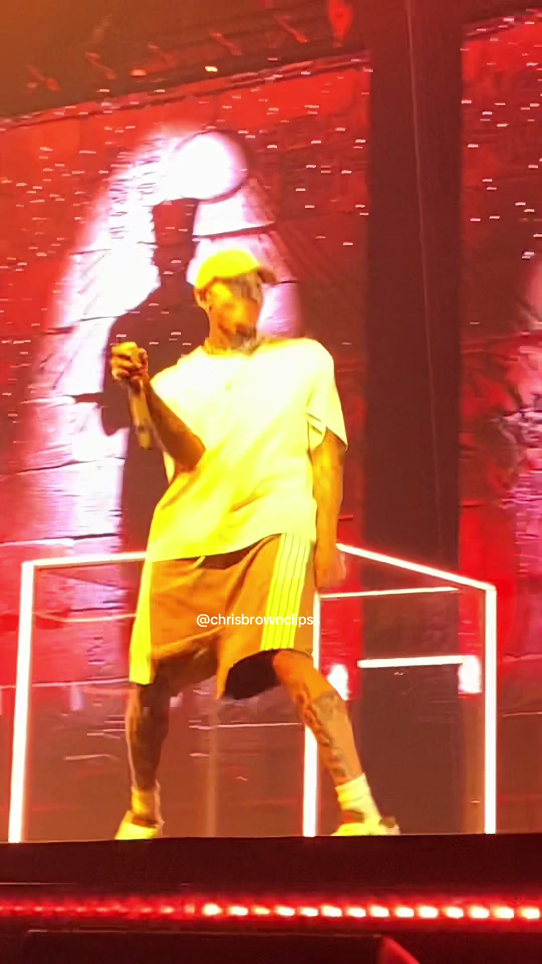 @Chris Brown fan