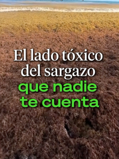 @Ahora Entiendo